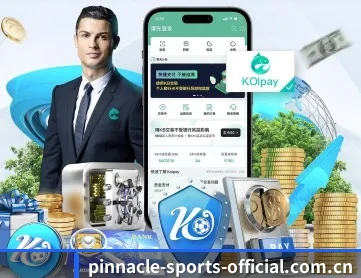 平博官方 APP 深度功能